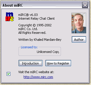 embed mirc chat window