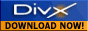Download het DivX codec hier ...